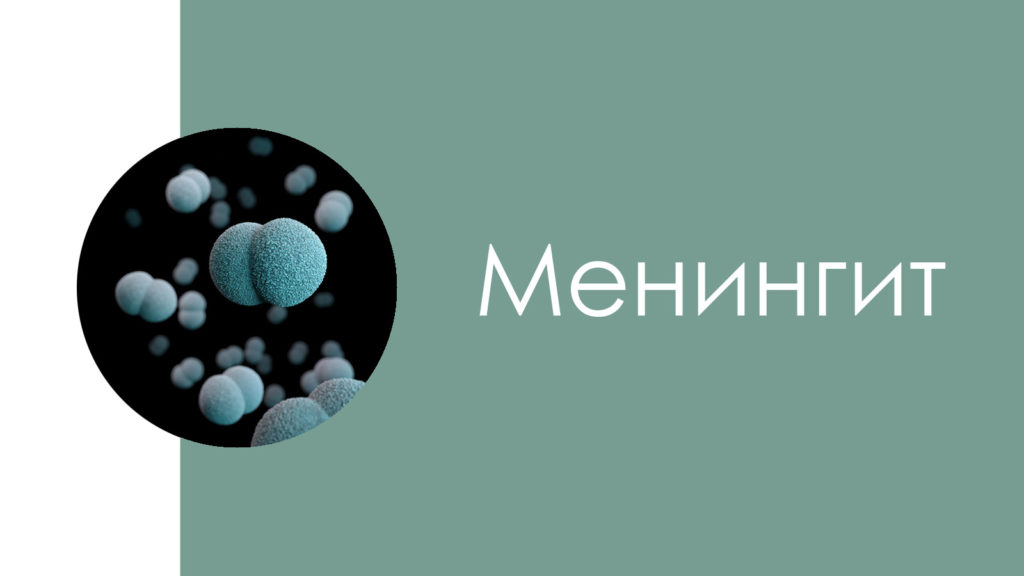 Менингит4