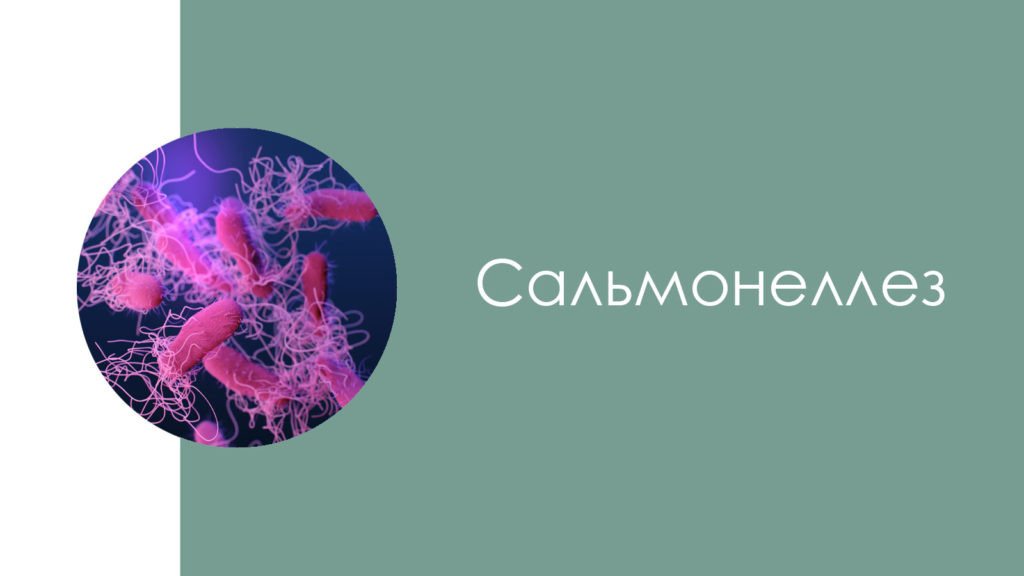 Сальмонеллез5