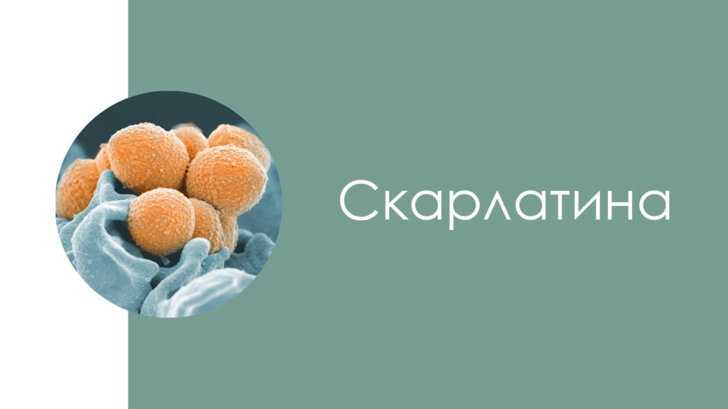 Скарлатина5