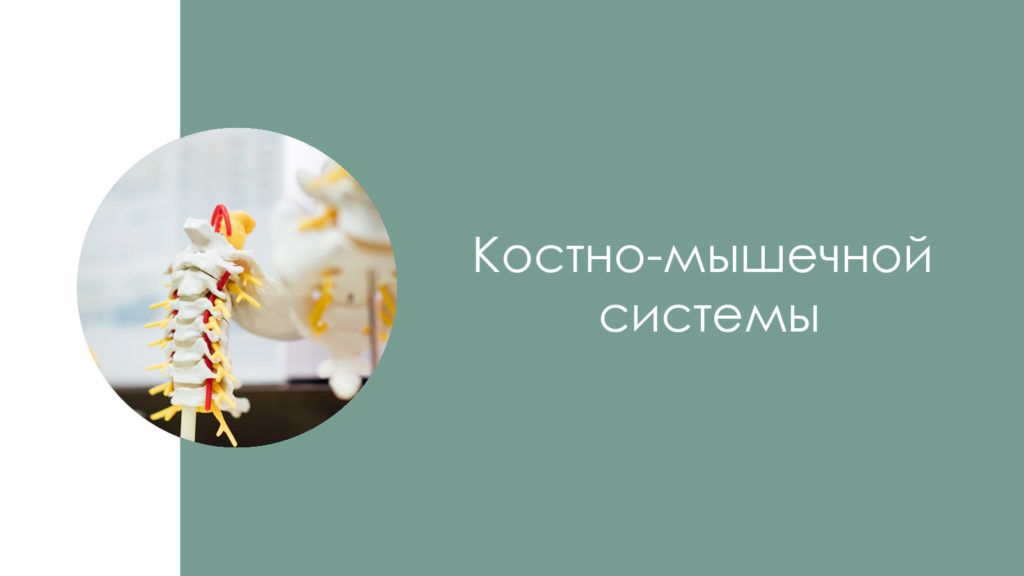 Заболевания костно-мышечной системы