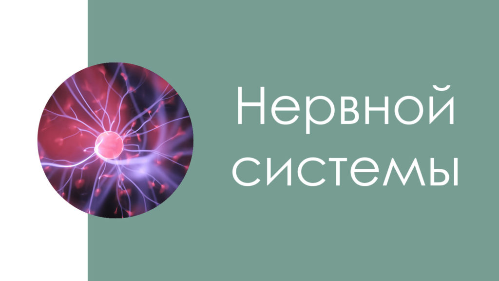 Заболевания нервной системы