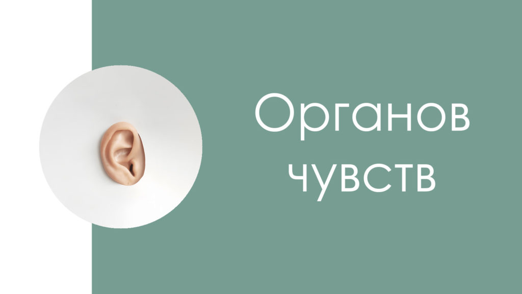 Заболевания органов чувств